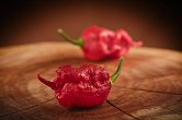 7 Pot Primo Red - ISO | Chilli semena