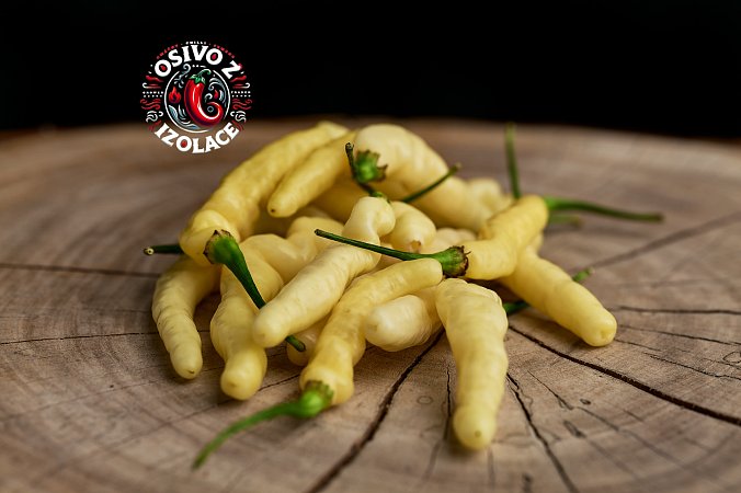 Aribibi Gusano - ISO | Chilli semena