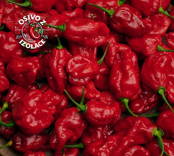 Sweet Moruga - ISO