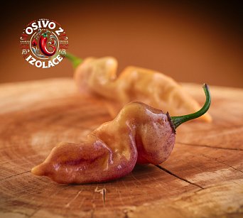 Bhut Jolokia Purple Peach - ISO •