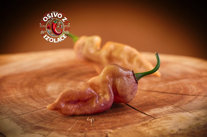 Bhut Jolokia Purple Peach - ISO • | Chilli semena