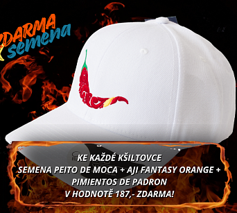 Kšiltovka chilli head - BEAT white