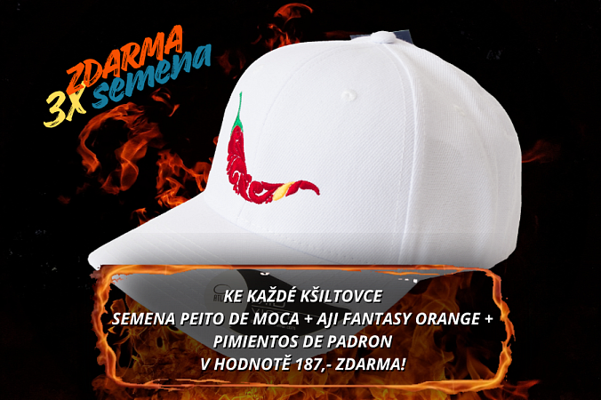 Kšiltovka chilli head - BEAT white | Kšiltovka chilli