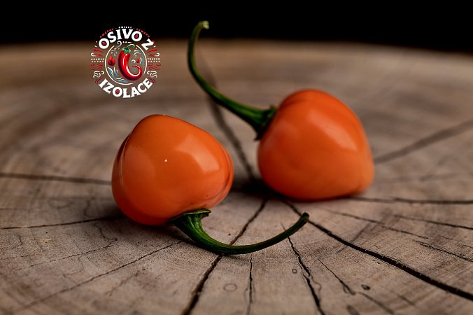 Charapon Amarillo - ISO | Chilli semena