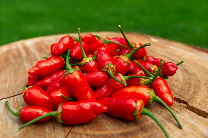 Red Bullet BBG | Chilli semena