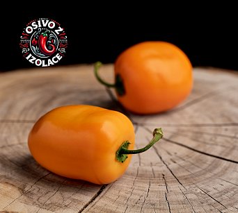 JB Variegrande - ISO •