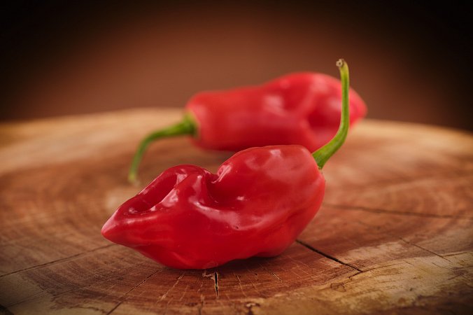 Pimenta de Cheiro Roja | Chilli semena