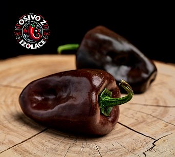 Chilhuacle Negro - ISO