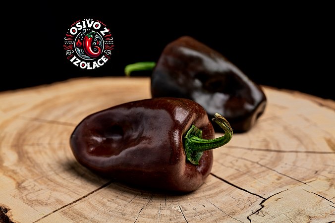 Chilhuacle Negro - ISO | Chilli semena