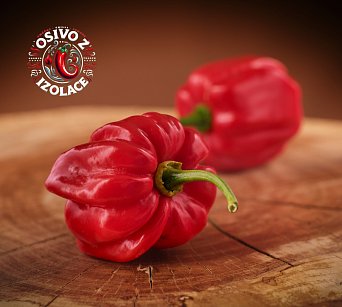 Habanero Hawaii Beach - ISO