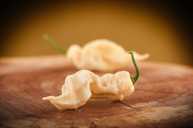 White Knight | Chilli semena