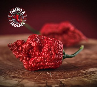 7 Pot Cinder - ISO •