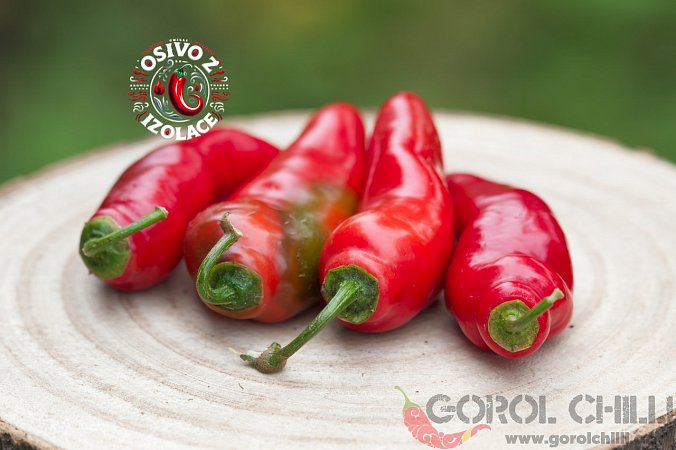 Aji Rocoto (PI 355812) - ISO | Chilli semena