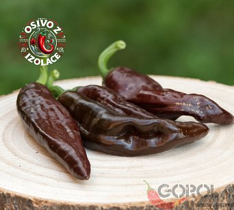 Ethiopian Brown - ISO