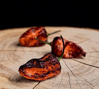 Pimenta da Dog - ISO