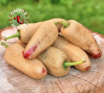 Jalapeno Farmer - ISO •