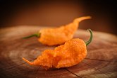 Reaper of Death Orange - ISO • | Chilli semena