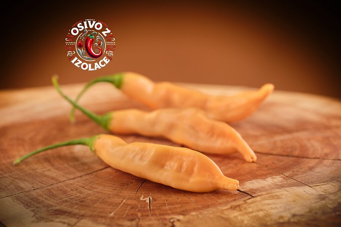 Aji Melocoton - ISO | Chilli semena