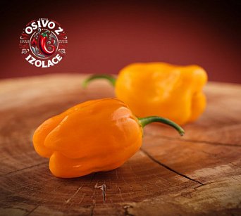 Habanero Gambia Orange - ISO
