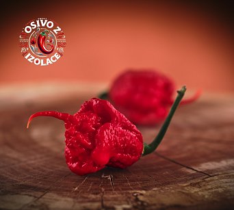 7 Pot Primo Red - ISO