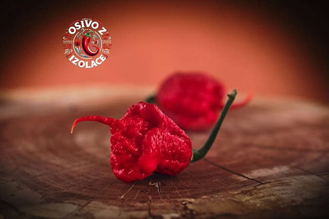 7 Pot Primo Red - ISO | Chilli semena