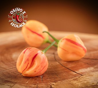 Peppapeach Stripey ML - ISO