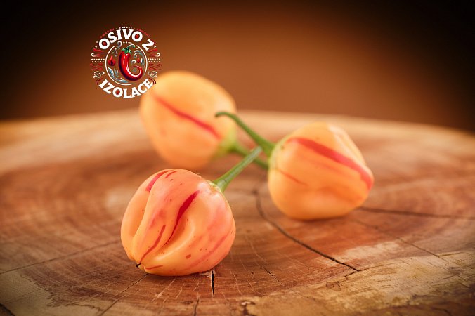 Peppapeach Stripey ML - ISO | Chilli semena