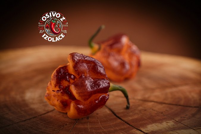 Pockmark Orange - ISO • | Chilli semena