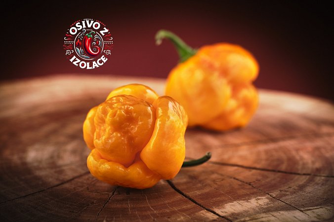 7 Pot Brainstrain Yellow - ISO | Chilli semena