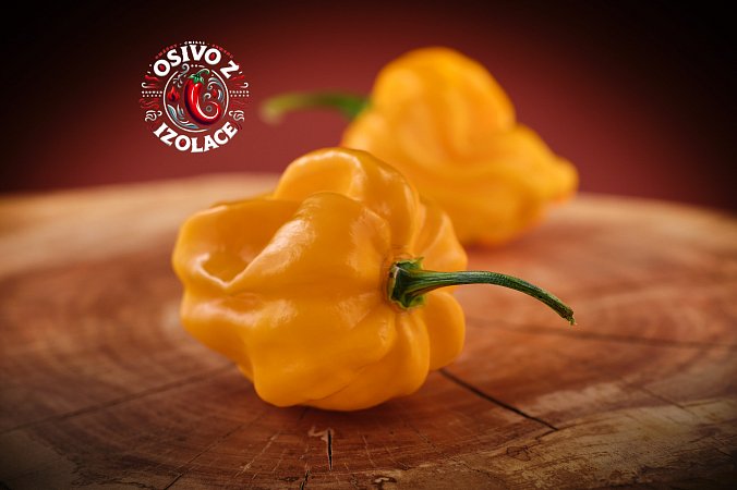 Aji Margariteno - ISO | Chilli semena