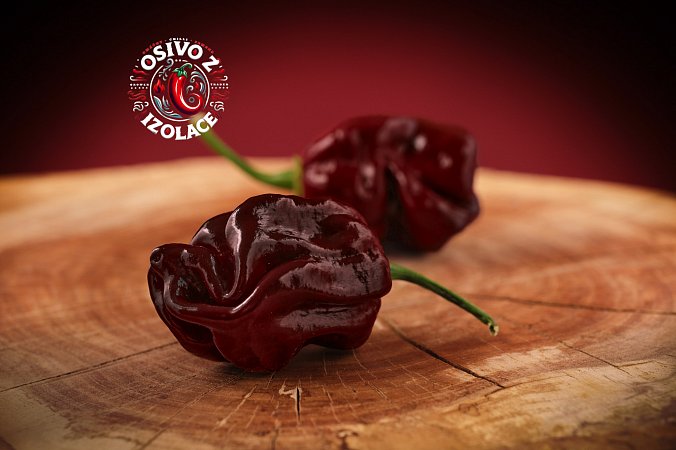 Habanero Chocolate - ISO | Chilli semena