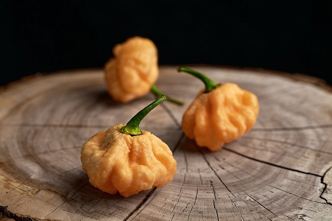 Goat Brains - ISO | Chilli semena