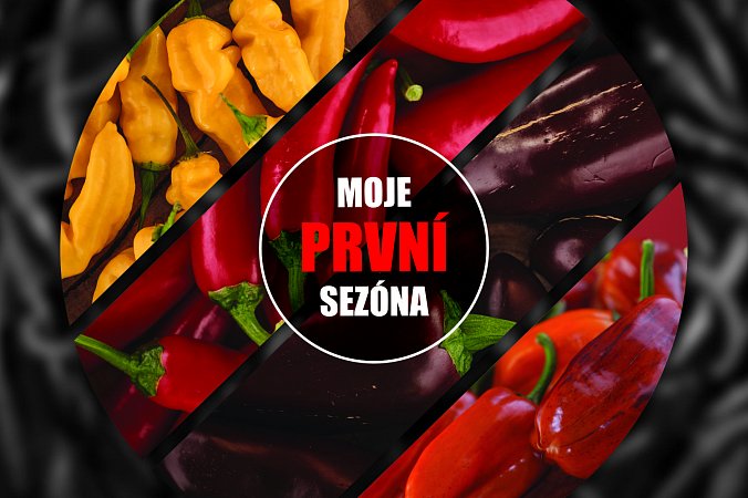 Moje první sezóna | Chilli semena