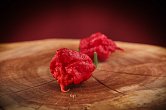 Carolina Reaper HP22B - ISO • | Chilli semena