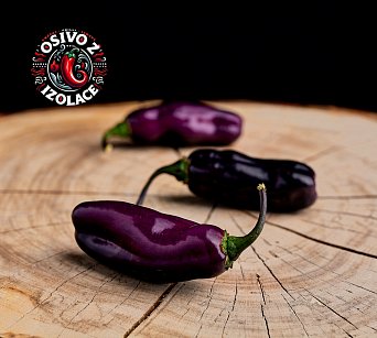 Pimenta da Neyde - ISO •