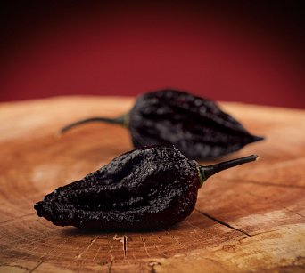 Nazgul's Breakfast - ISO