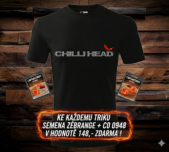 CHILLI HEAD