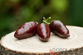 Rocoto Chocolate X PS | Chilli semena
