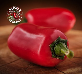 Jalapeno Grosso - ISO