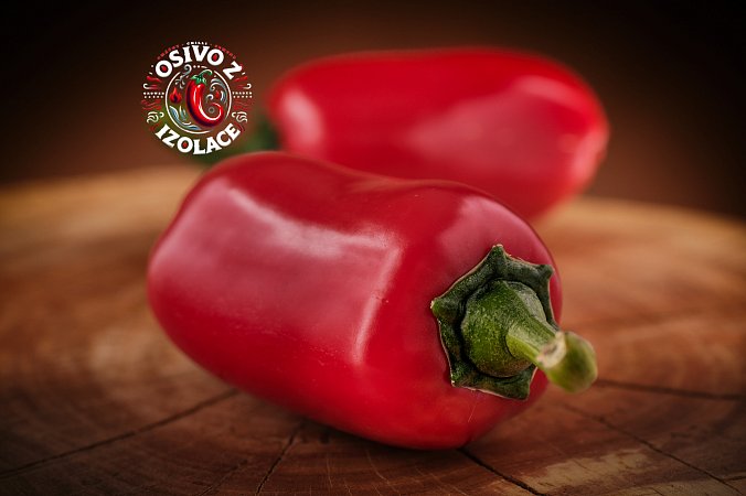 Jalapeno Grosso - ISO | Chilli semena