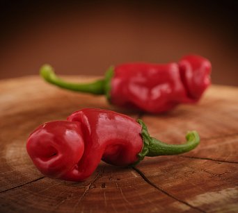 Red Peter Pepper •