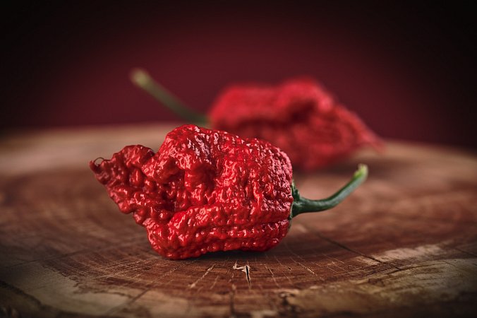 7 Pot Cinder - ISO | Chilli semena