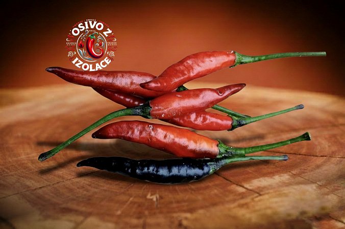 Assam - ISO | Chilli semena