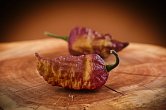 Peach Bhut x Golden Bhut - ISO • | Chilli semena