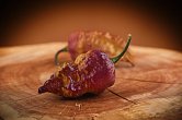 Peach Bhut x Golden Bhut - ISO • | Chilli semena