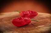 Pimenta de Cheiro Roja | Chilli semena