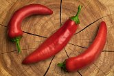 Hungarian Hot Wax - ISO • | Chilli semena