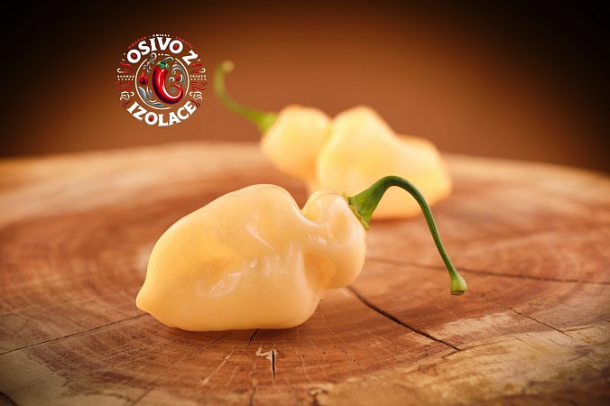 Habanero Pastel - ISO | Chilli semena