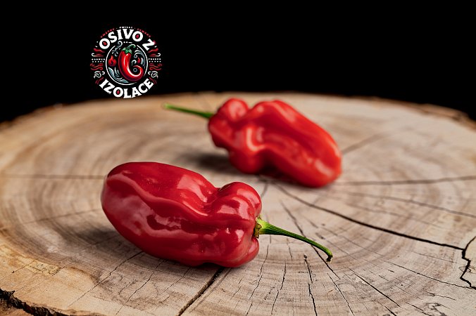 Habanero Ugandan Red - ISO | Chilli semena