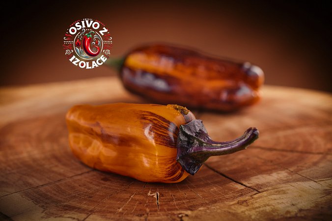 Camelot - ISO | Chilli semena